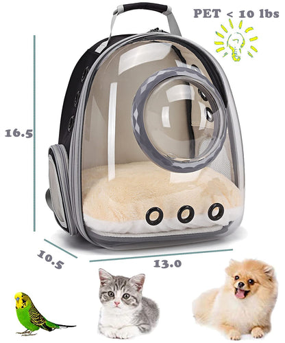 Cat Backpack - Cat Travel Basket - Cat Carrier - Small Dog Backpack - Transparent Pet Backpack - Cat Transport Box - Dog Travel Bag - Breathable Cat Basket - Backpack with Window - Pet Supplies - Hiking Backpack - Black - 1 Piece