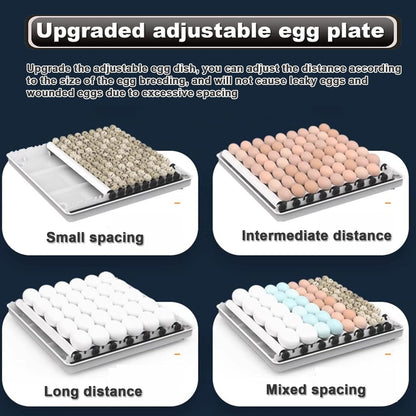 CARLA HOME 70 Egg Incubator with Automatic Turning, LED Display, Humidity & Temperature Control, Auto Water System & Built-in Egg Candler for Chicken, Duck, Quail, Goose