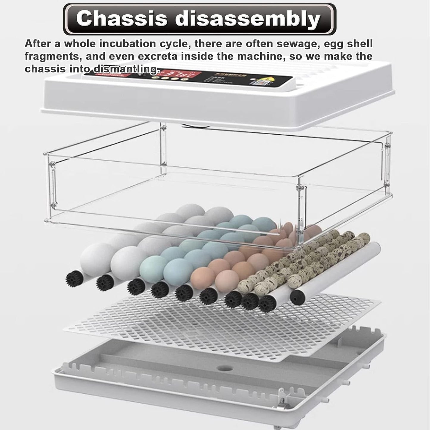 CARLA HOME 70 Egg Incubator with Automatic Turning, LED Display, Humidity & Temperature Control, Auto Water System & Built-in Egg Candler for Chicken, Duck, Quail, Goose