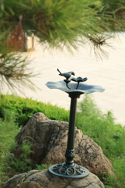 Lotus bird bath Dark Green